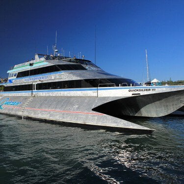 Quicksilver cruises great barrier reef