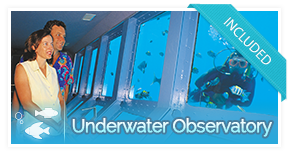 included-activity-uwobserv