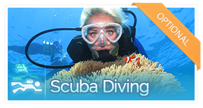 optional-activity-scuba