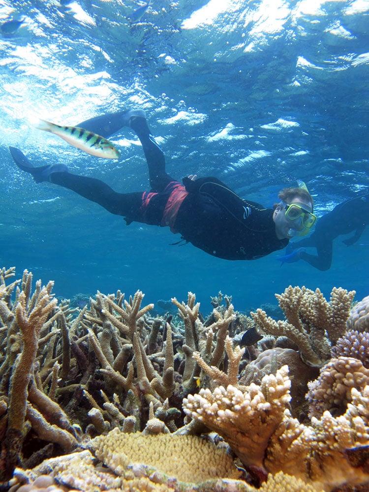 Snorkelling on the Great Barrier Reef Port Douglas Quicksilver Cruises