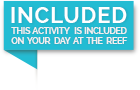 Included in your reef trip