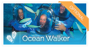 Ocean Walker — optional activity