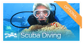 Scuba diving — optional activity