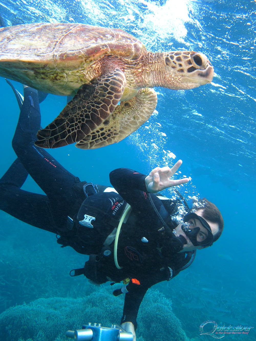Diver with a green sea turtle