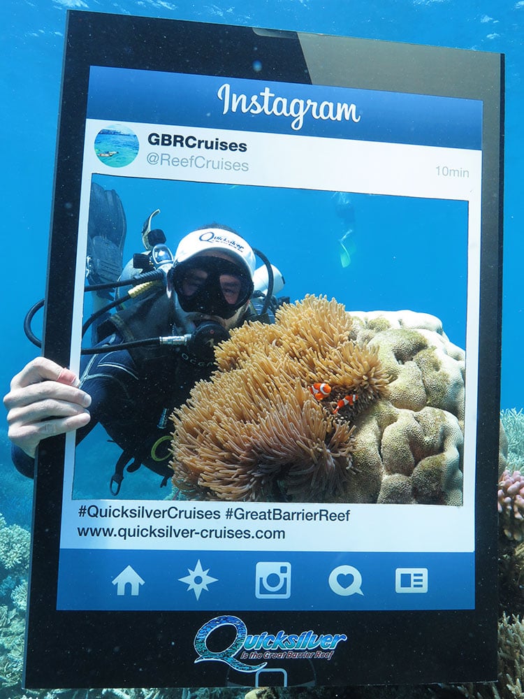 Scuba diver at Agincourt Reef