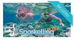 included-activity-snorkel