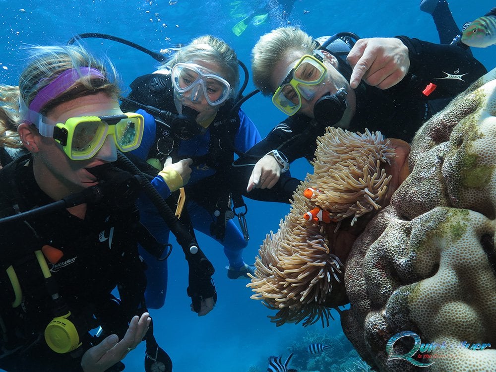 introductory scuba diving on the great barrier reef